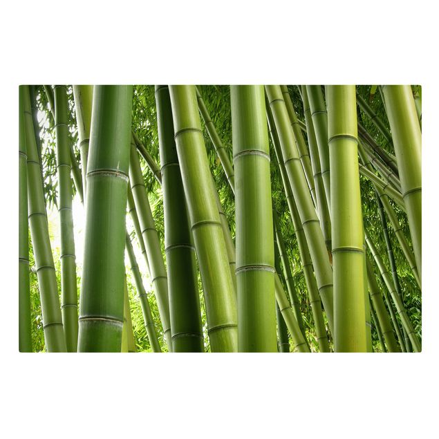 quadro com paisagens Bamboo Trees