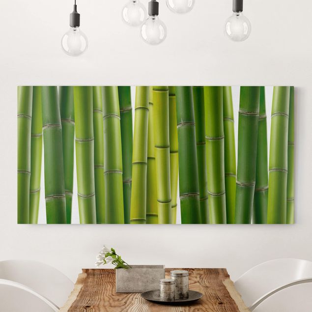 decoraçoes cozinha Bamboo Plants