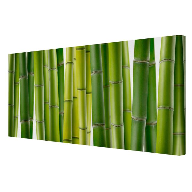 Telas decorativas flores Bamboo Plants