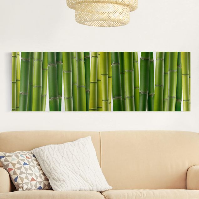 Telas decorativas bambu Bamboo Plants