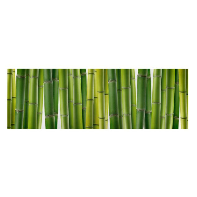 Quadros paisagens Bamboo Plants