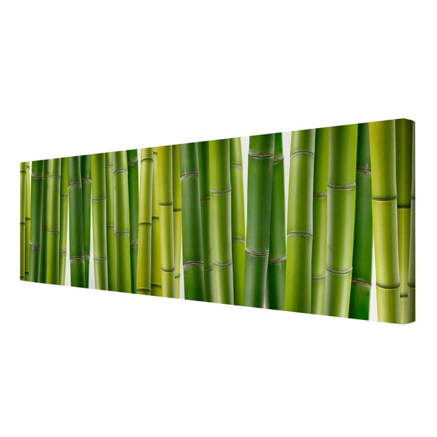 Telas decorativas flores Bamboo Plants