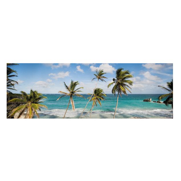 Quadros praia Beach Of Barbados