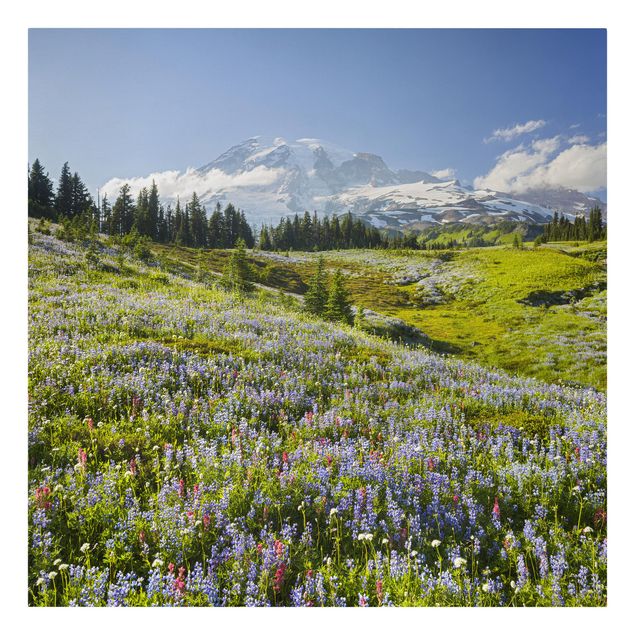 quadros de paisagens Mountain Meadow With Red Flowers in Front of Mt. Rainier