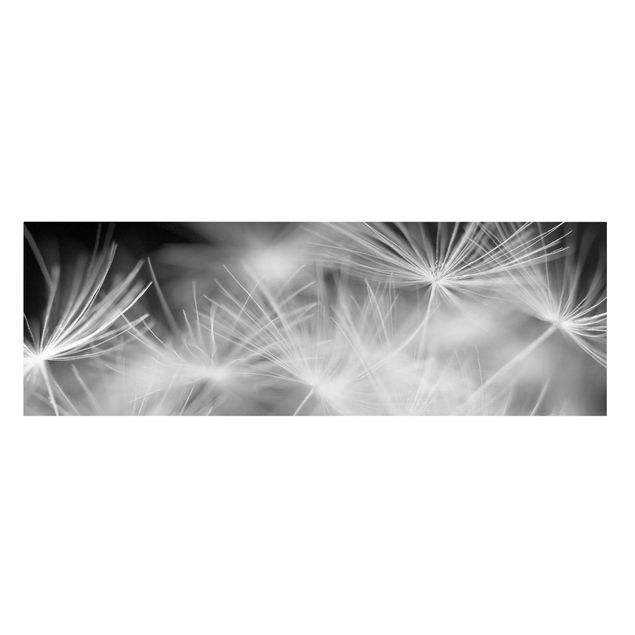 Telas decorativas em preto e branco Moving Dandelions Close Up On Black Background