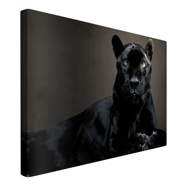 Telas decorativas animais Black Puma