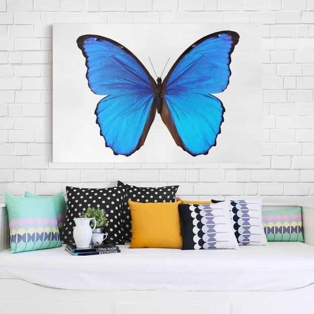 Telas decorativas borboletas Blue Morpho