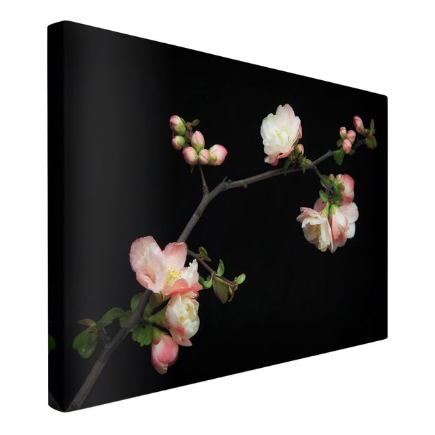 quadros de flores Blossoming Branch Apple Tree