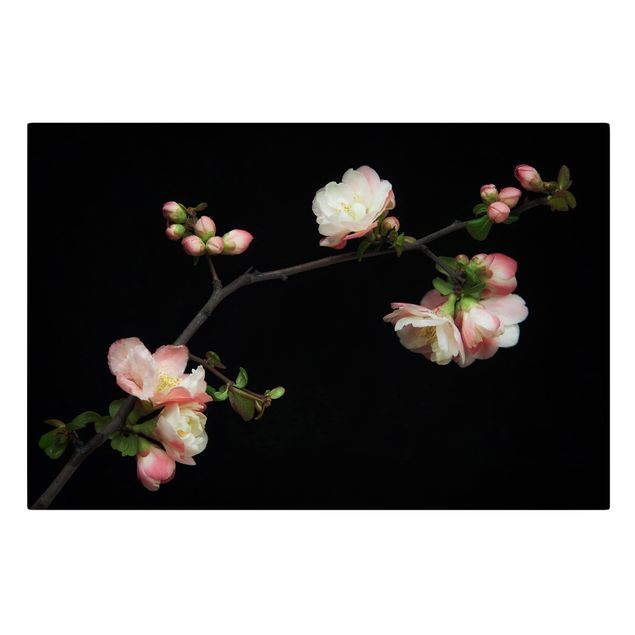 decoração quadros Blossoming Branch Apple Tree