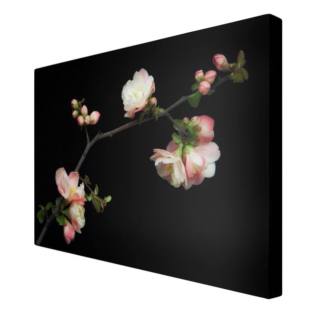 telas decorativas para paredes Blossoming Branch Apple Tree