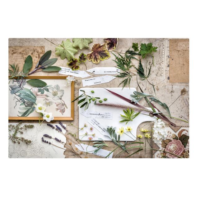 Telas decorativas temperos e ervas aromáticas Flowers And Garden Herbs Vintage