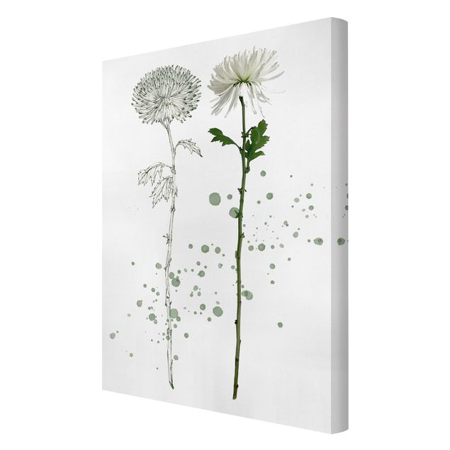 quadro com flores Botanical Watercolour - Dandelion