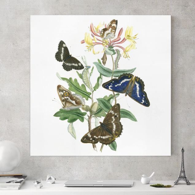 Telas decorativas borboletas British Butterflies IV