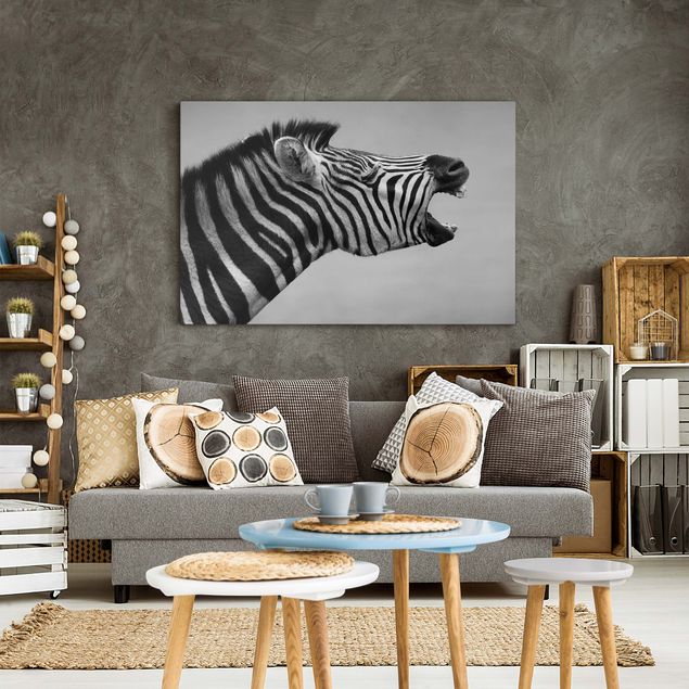Telas decorativas zebras Roaring Zebra ll