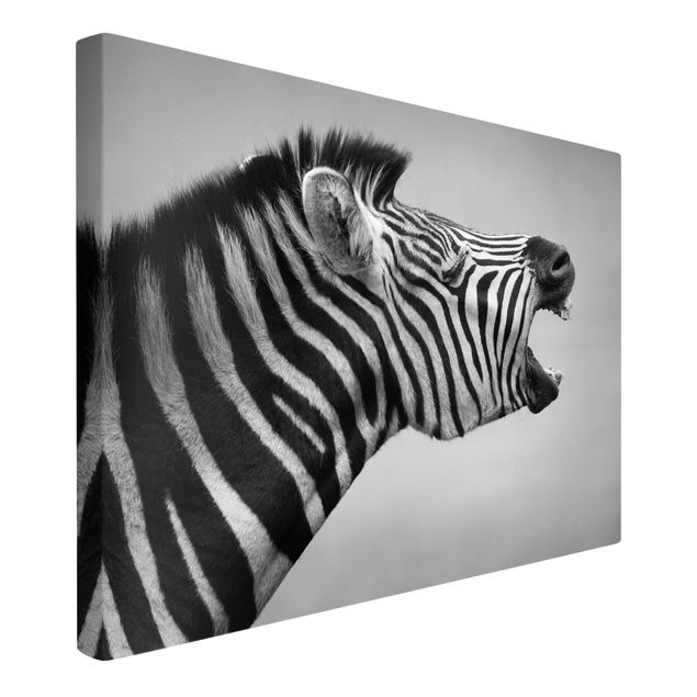 Telas decorativas em preto e branco Roaring Zebra ll