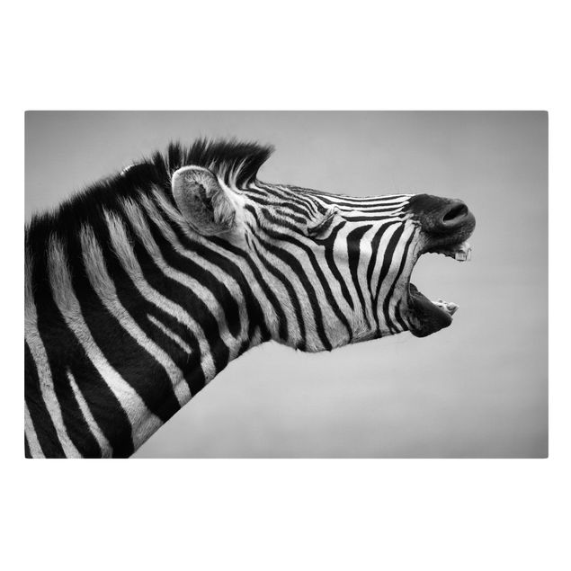 Telas decorativas animais Roaring Zebra ll
