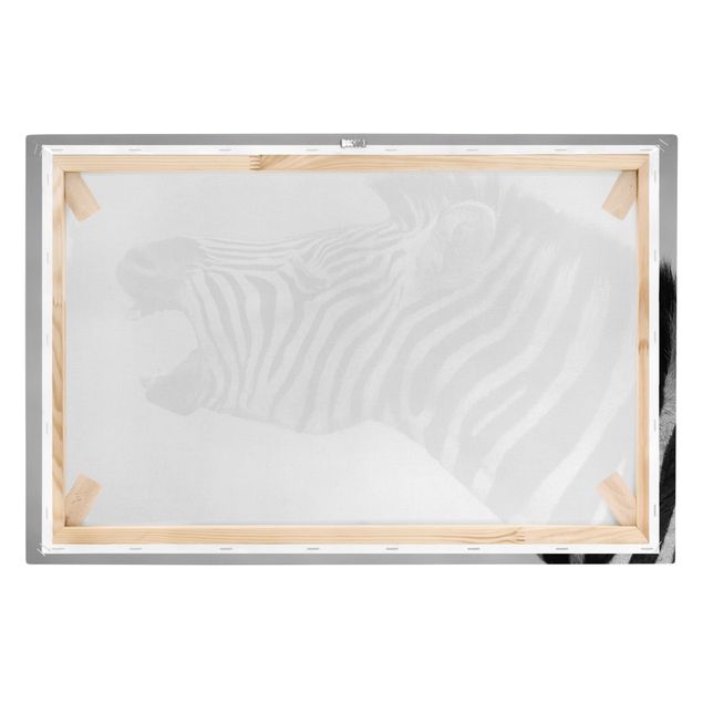quadros em preto e branco Roaring Zebra ll