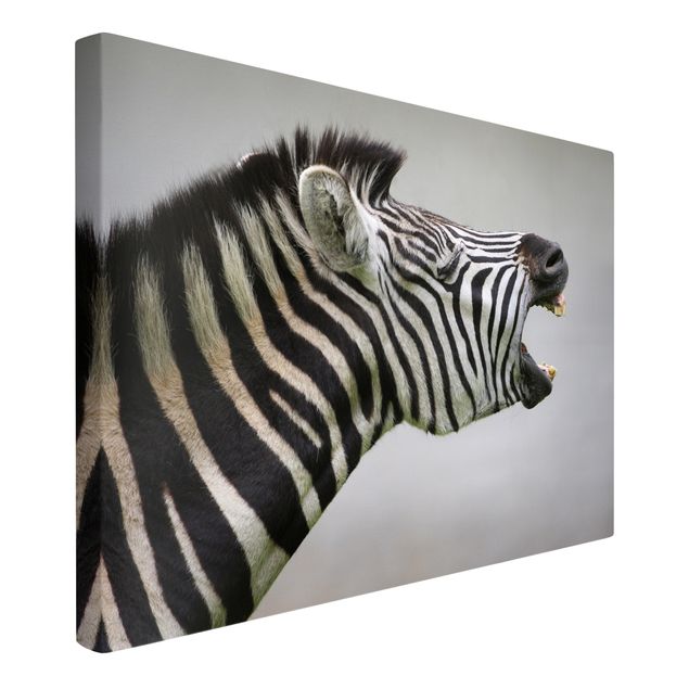 Telas decorativas animais Roaring Zebra