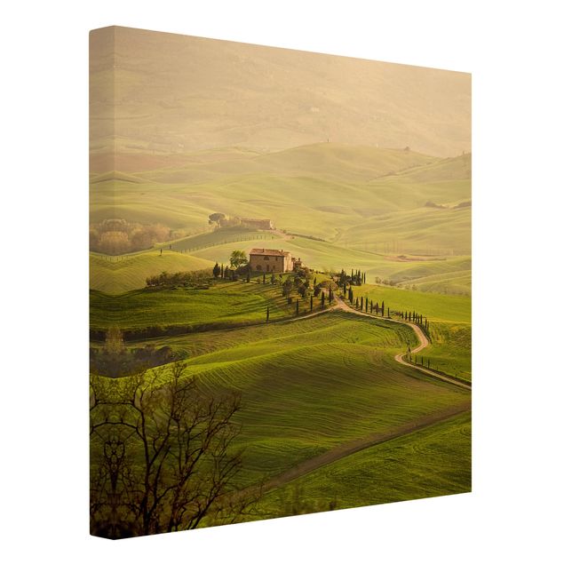 quadro da natureza Chianti Tuscany