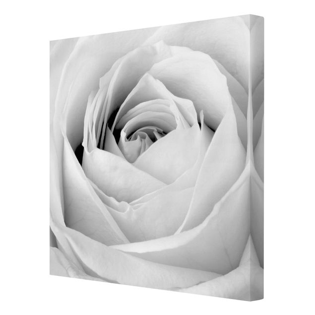 Quadros preto e branco Close Up Rose