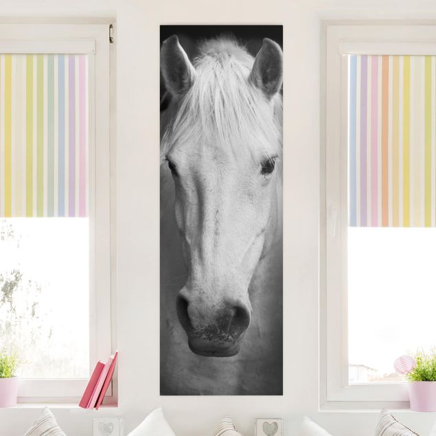 Telas decorativas cavalos Dream Of A Horse
