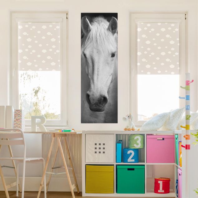 quadro de cavalo Dream Of A Horse