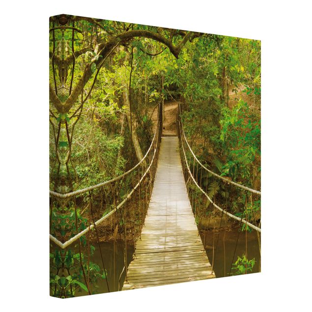Quadros selva Jungle Bridge