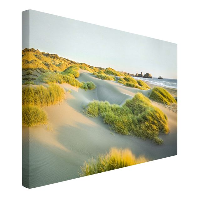 Telas decorativas dunas Dunes And Grasses At The Sea