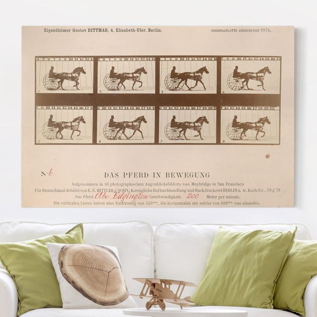 decoraçao para parede de cozinha Eadweard Muybridge - The horse in Motion