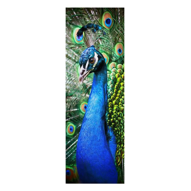 quadros decorativos para sala modernos Noble Peacock