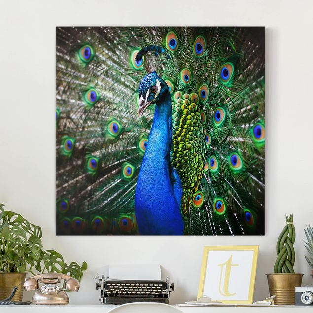 Telas decorativas aves Noble Peacock