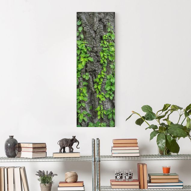 quadro com paisagens Ivy Tendrils Tree Bark