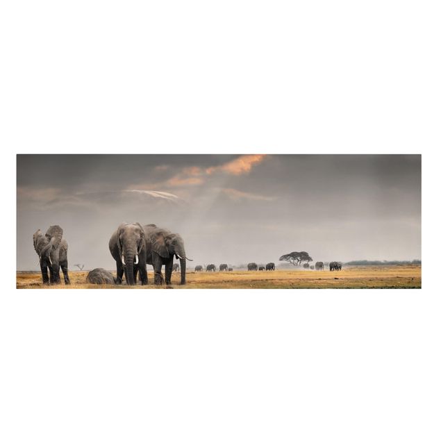 Quadros paisagens Elephants in the Savannah
