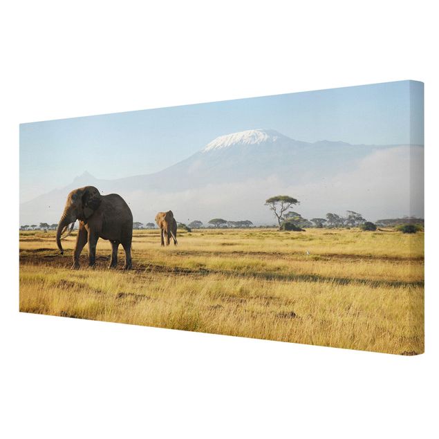 Telas decorativas paisagens Elephants In Front Of The Kilimanjaro In Kenya