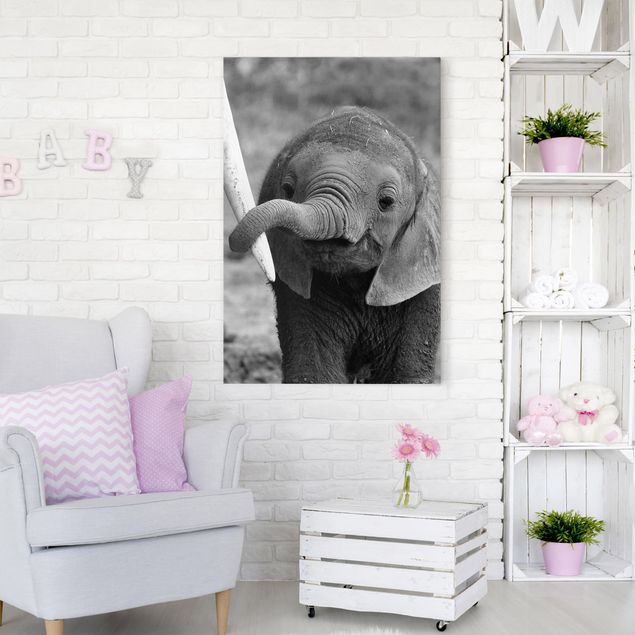 Quadros elefantes Baby Elephant