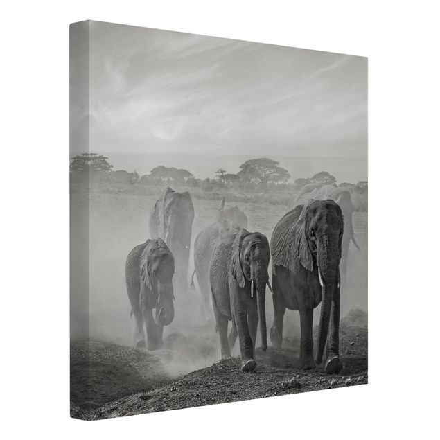 quadros de paisagens Herd Of Elephants