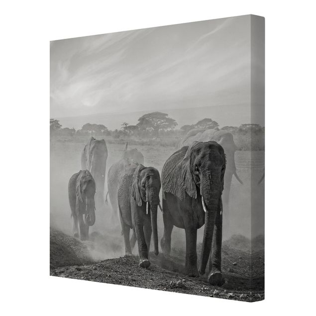 Telas decorativas paisagens Herd Of Elephants