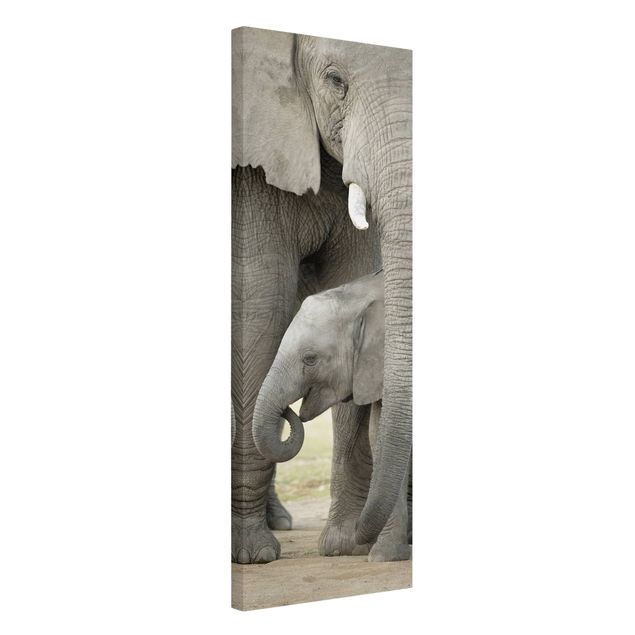 Telas decorativas animais Elephant Love
