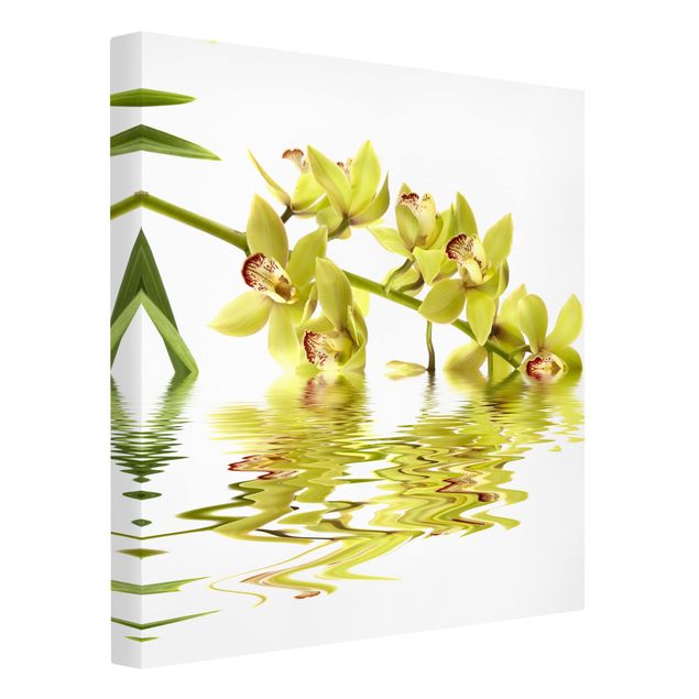 Telas decorativas borboletas Elegant Orchid Waters
