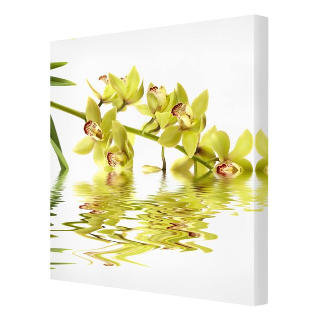Quadros florais Elegant Orchid Waters