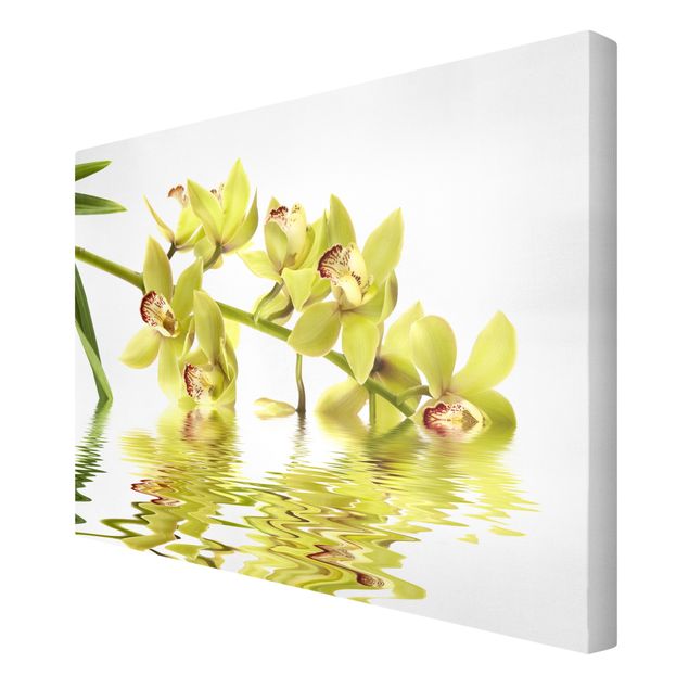 Quadros florais Elegant Orchid Waters