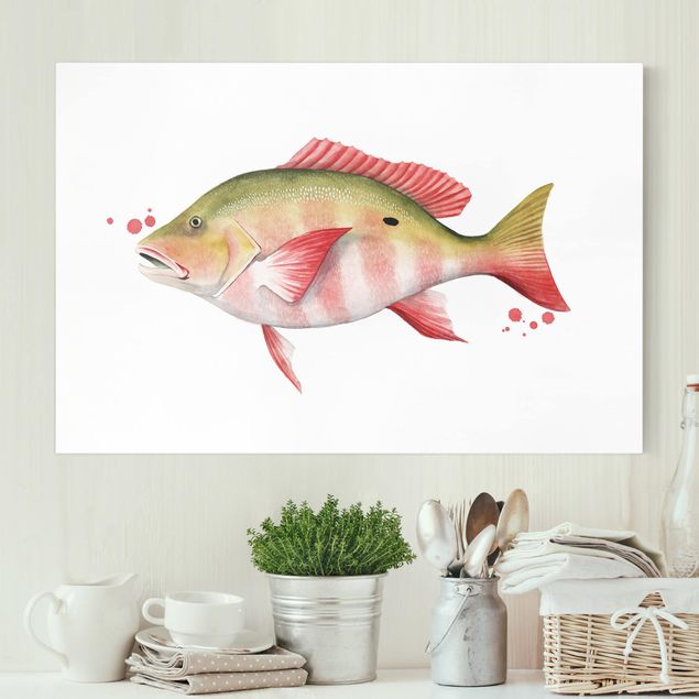 Telas decorativas peixes Color Catch - Northern Red Snapper