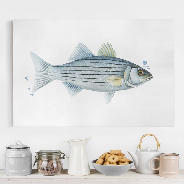 Telas decorativas peixes Color Catch - White Perch