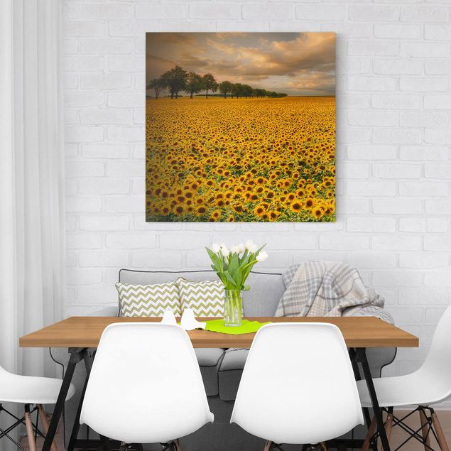 decoraçao cozinha Field With Sunflowers