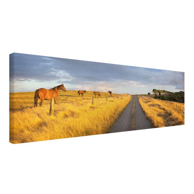 quadros de paisagens Field Road And Horse In Evening Sun