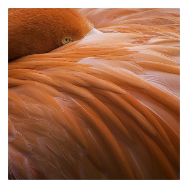 quadros modernos para quarto de casal Flamingo Feathers