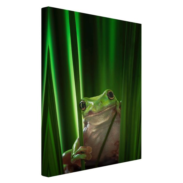 quadros decorativos para sala modernos Merry Frog