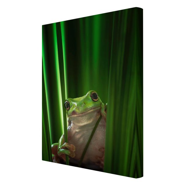 quadros para parede Merry Frog