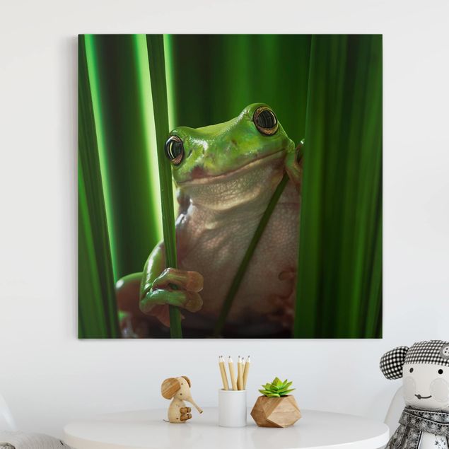 decoraçao cozinha Merry Frog