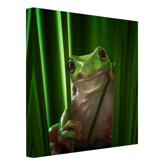 quadros decorativos para sala modernos Merry Frog